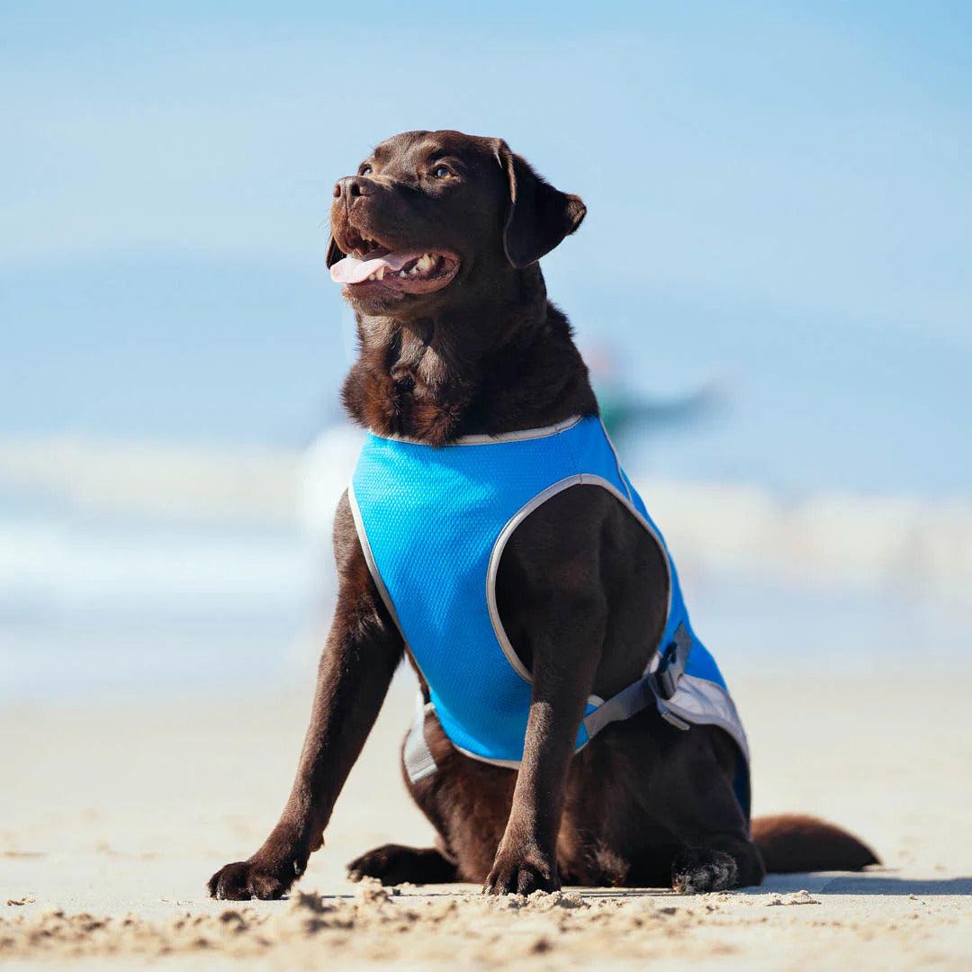 BreezePaws™ Cooling Vest