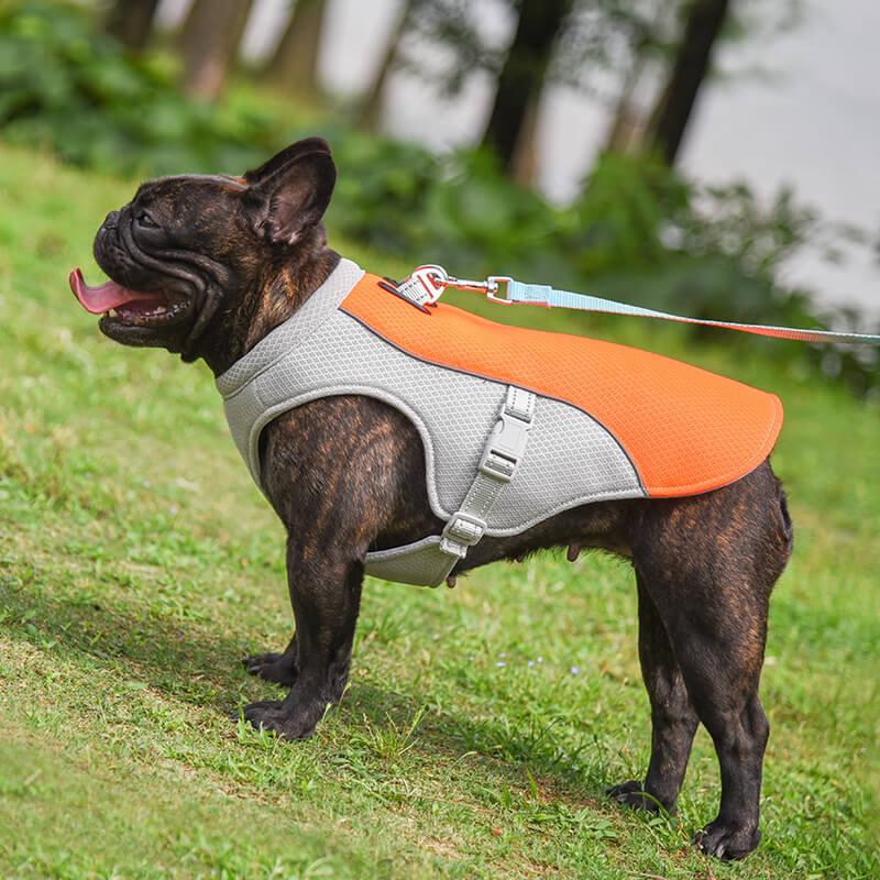 BreezePaws™ Cooling Vest
