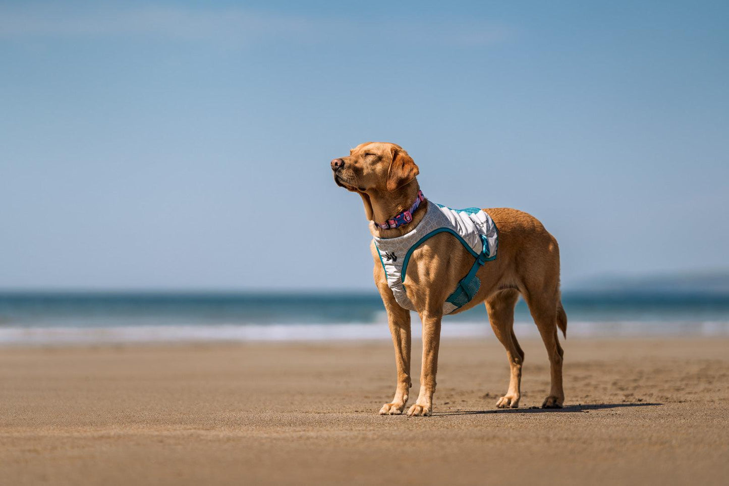 BreezePaws™ Cooling Vest